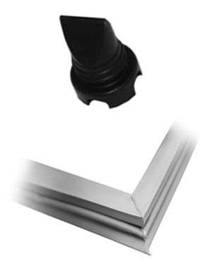 orings 2